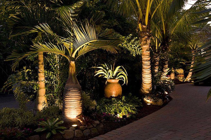 Olguin Bros. Lawn Service and Landscaping Photo Gallery