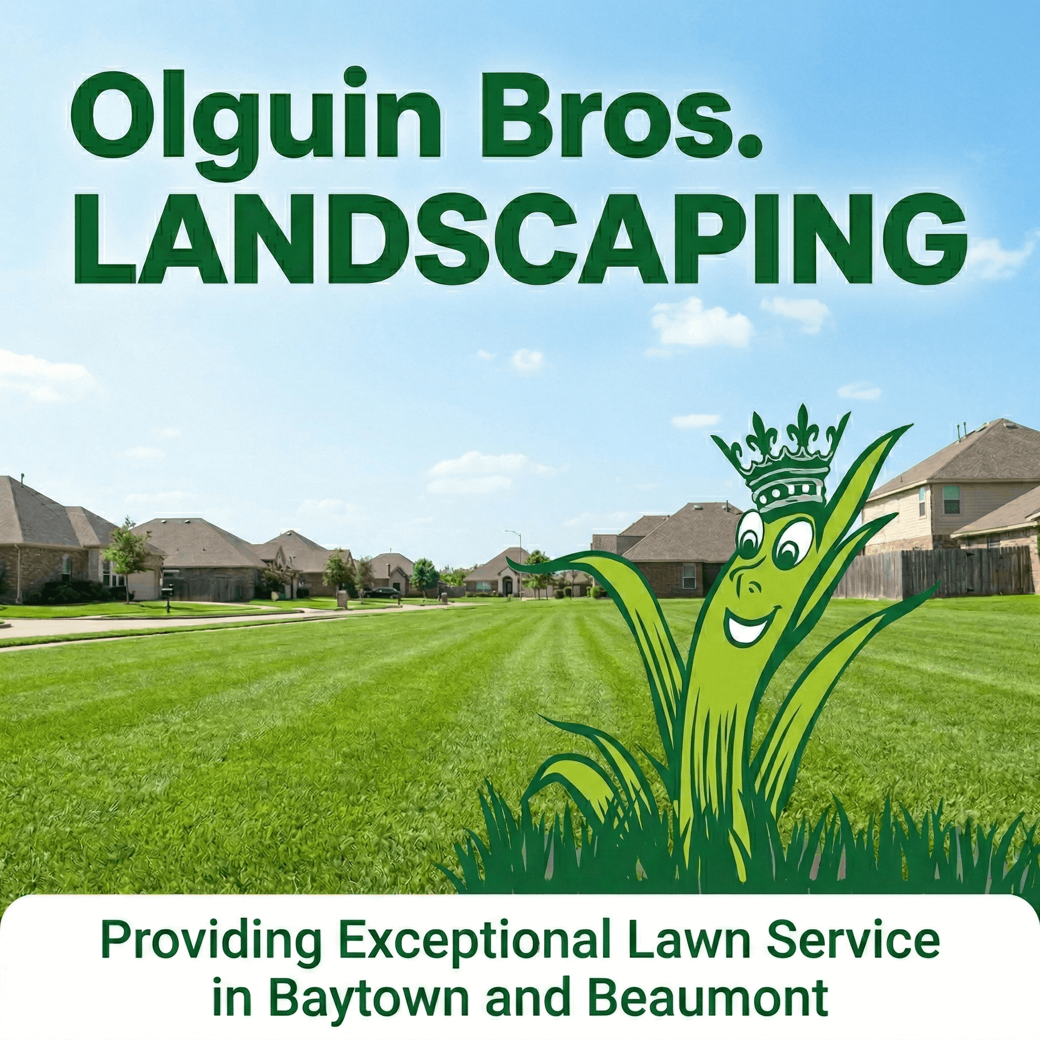 Healthy St. Augustine lawn in Beaumont TX maintained by Olguin Bros
